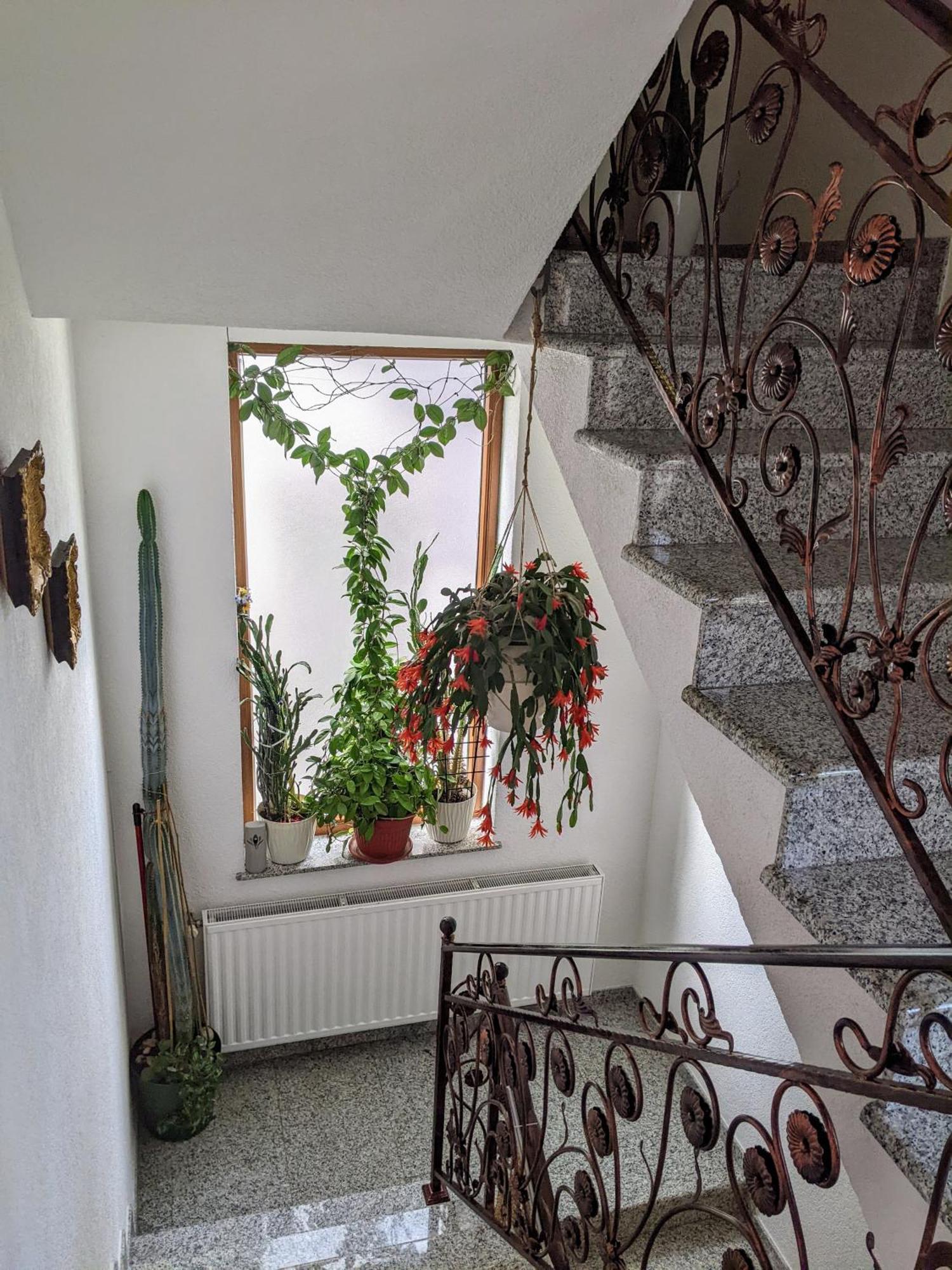 Apartmani Hrastik Біхач Екстер'єр фото