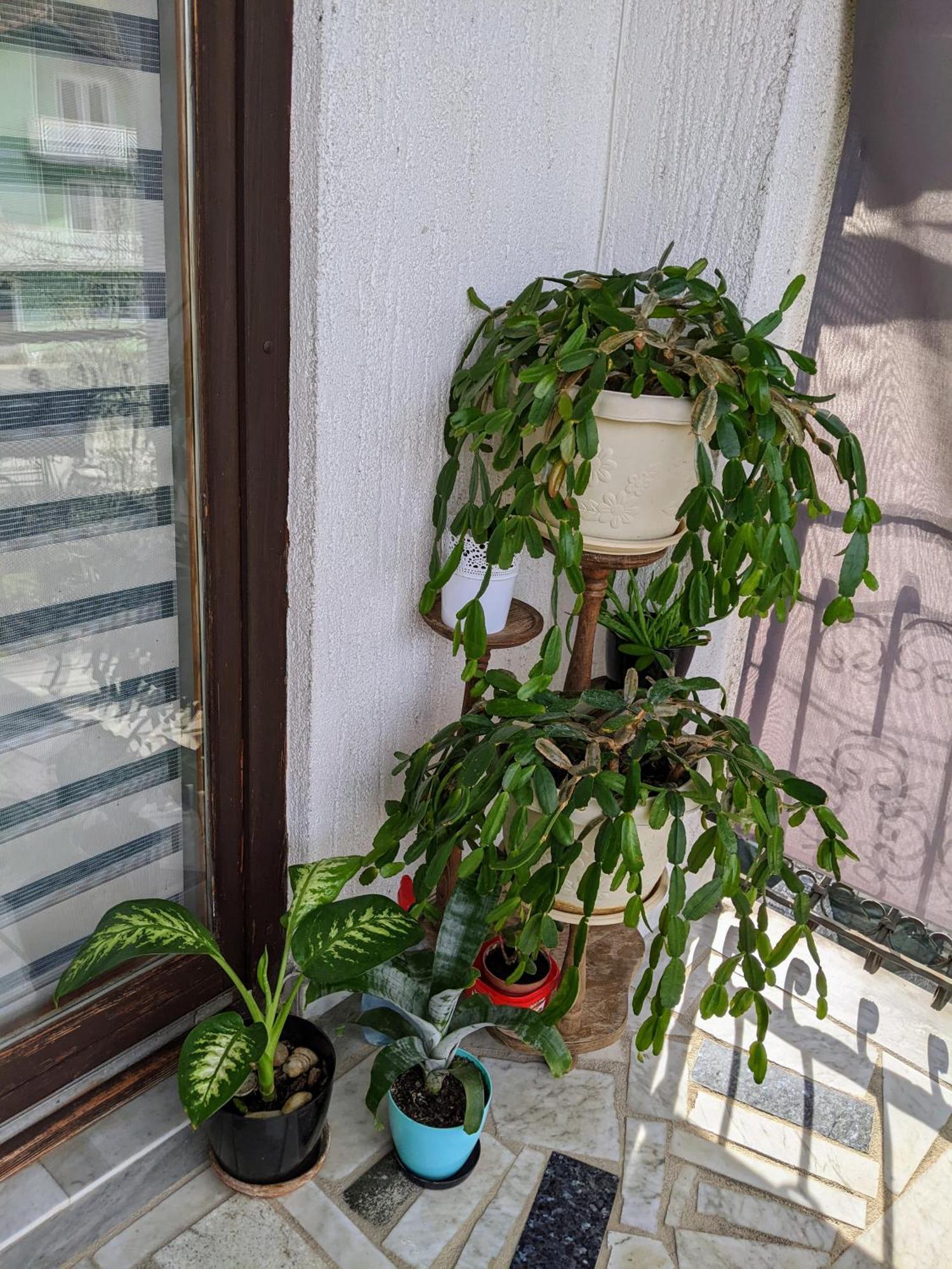 Apartmani Hrastik Біхач Номер фото