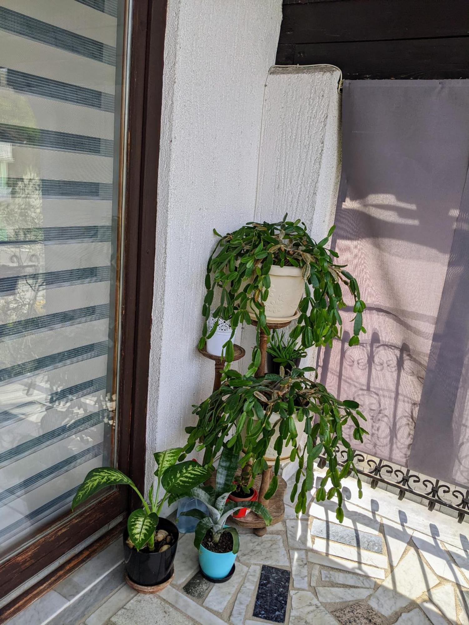 Apartmani Hrastik Біхач Номер фото